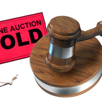 Online Auctions